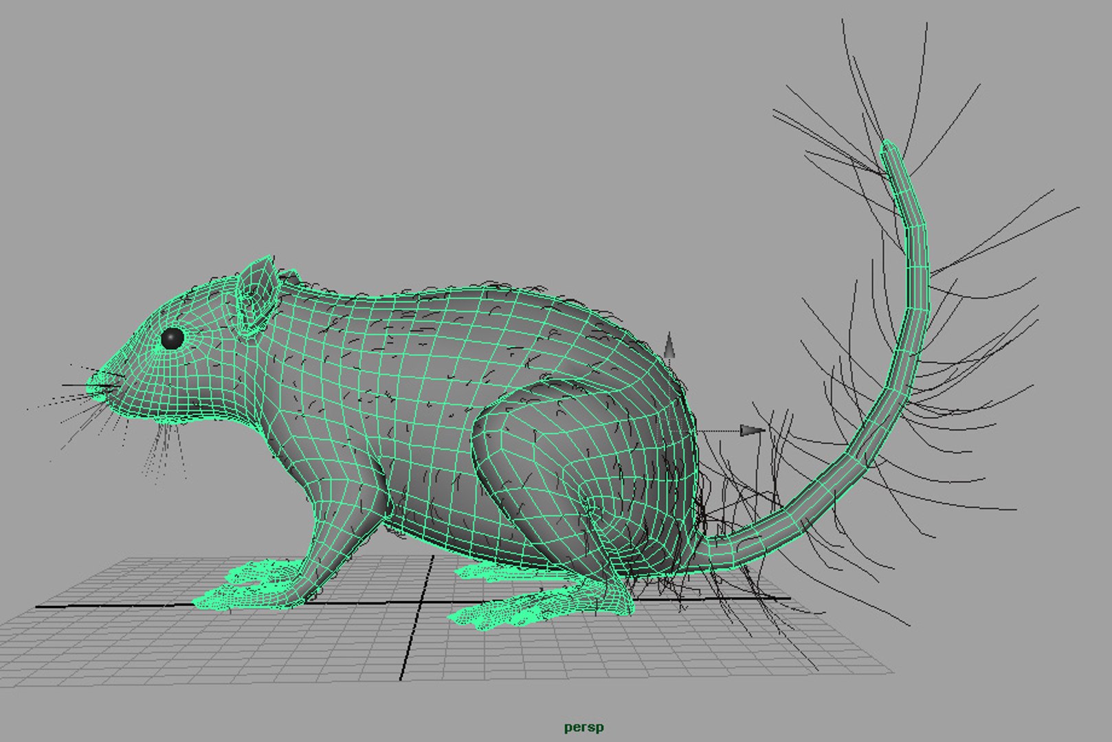 3d c4d squirrel https://p.turbosquid.com/ts-thumb/Xi/0U3MXB/8WSXpM3f/8/jpg/1305561735/1920x1080/fit_q87/5632a8ef4213740112bb0d57b6c310c3a6d1a113/8.jpg