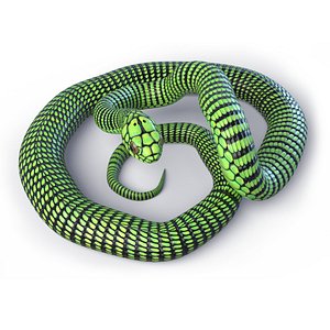 Boomslang - Rigged