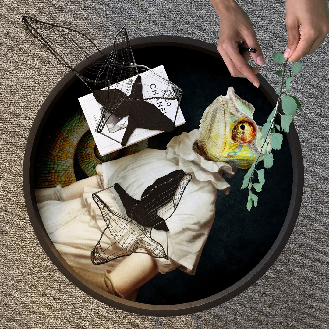 flight shadows decorative object 3D model https://p.turbosquid.com/ts-thumb/Xi/E7KaqT/WwZud7Bw/08/jpg/1515582329/1920x1080/fit_q87/3162384534a424f8d7c3f9838d999271f5d5febf/08.jpg