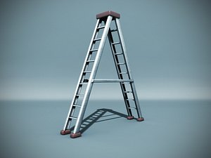 Ladder