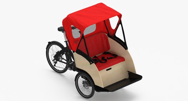 3 wheel bike 2025 canopy