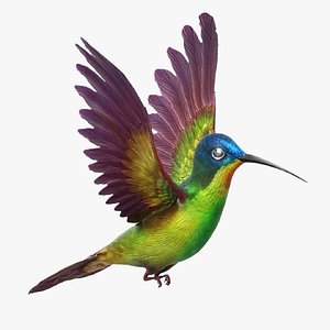 3D Fully Rigged Animated Fluttering Hummingbird