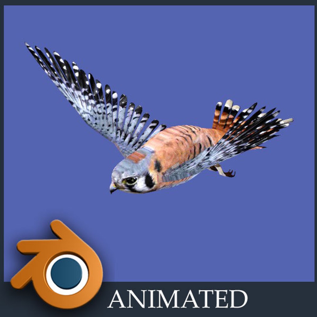 kestrel falcon 3d blend https://p.turbosquid.com/ts-thumb/Xi/a1NvNK/79PxXfJ9/k2/jpg/1426687139/1920x1080/fit_q87/23564eb4abdb0376041af87ffeaf9bd70e21e3c6/k2.jpg