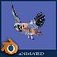 kestrel