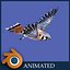 kestrel