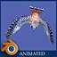 kestrel
