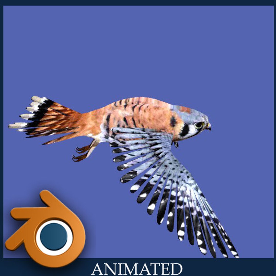 kestrel falcon 3d blend https://p.turbosquid.com/ts-thumb/Xi/a1NvNK/x5pmnQDM/k4/jpg/1426687171/1920x1080/fit_q87/22821e34cf97c0df33d2a5b23503dd9960cebd0c/k4.jpg