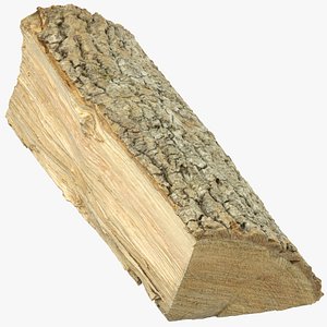 wooden log 02 3D model