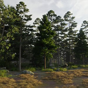 blender nature forest ground 3D model