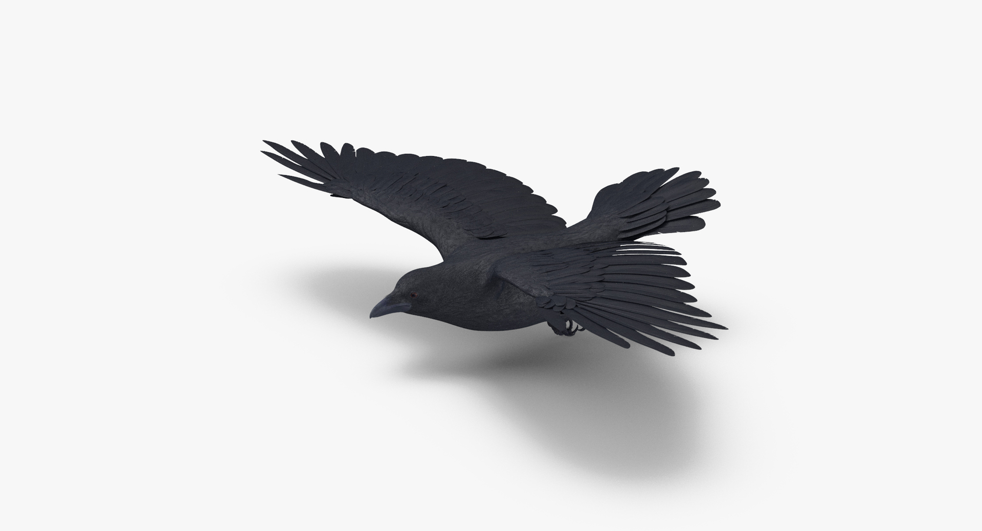 crow 03 3d max https://p.turbosquid.com/ts-thumb/Xj/JVfOwx/2YLFkiqS/0000/jpg/1487580060/1920x1080/turn_fit_q99/0e7af85992cfd5529325b84ec3b6ce343cd70e68/0000-1.jpg