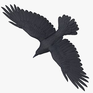 crow 03 3d max