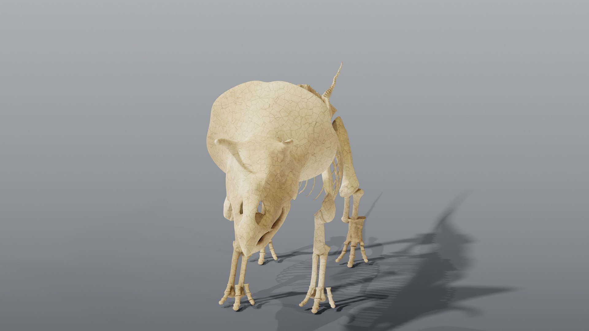 Triceratops and Triceratops Skeleton - Rigged PBR 3D model https://p.turbosquid.com/ts-thumb/Xj/VTine2/JF/15_triceratopsskeleton_05_front/jpg/1791296879/1920x1080/fit_q87/b706f0e8d474bba07a3b3c4ed02a63834483e49b/15_triceratopsskeleton_05_front.jpg