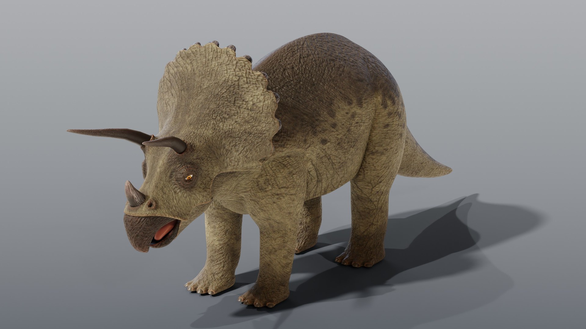 Triceratops and Triceratops Skeleton - Rigged PBR 3D model https://p.turbosquid.com/ts-thumb/Xj/VTine2/Nu/05_triceratops_02_hero/jpg/1791296797/1920x1080/fit_q87/d93c9f6a59ea5741d6fd053e8ad2587a565c4be7/05_triceratops_02_hero.jpg