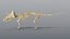 Triceratops and Triceratops Skeleton - Rigged PBR