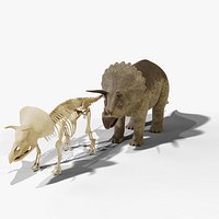 Triceratops and Triceratops Skeleton - Rigged PBR