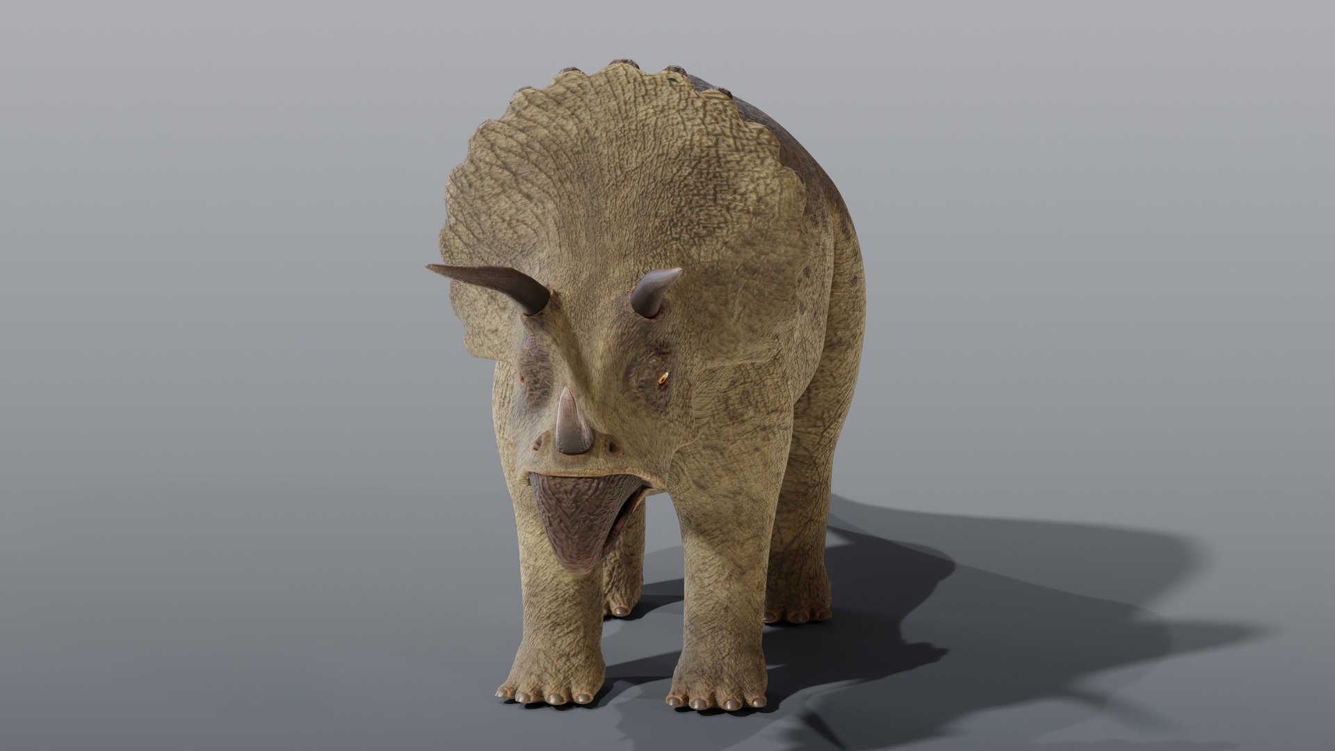 Triceratops and Triceratops Skeleton - Rigged PBR 3D model https://p.turbosquid.com/ts-thumb/Xj/VTine2/n0/07_triceratops_05_front/jpg/1791296807/1920x1080/fit_q87/5097c8940e91e7e358ac6b8fb1c0829d8bb73a60/07_triceratops_05_front.jpg