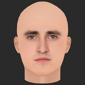 3D Low Poly Paul Mescal Head