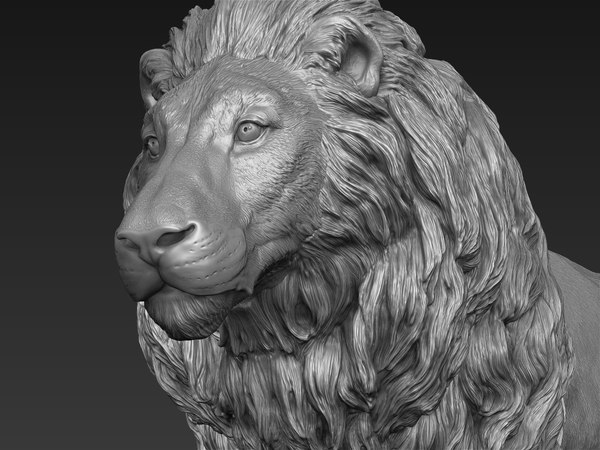 Lion realistic 3D - TurboSquid 1290876