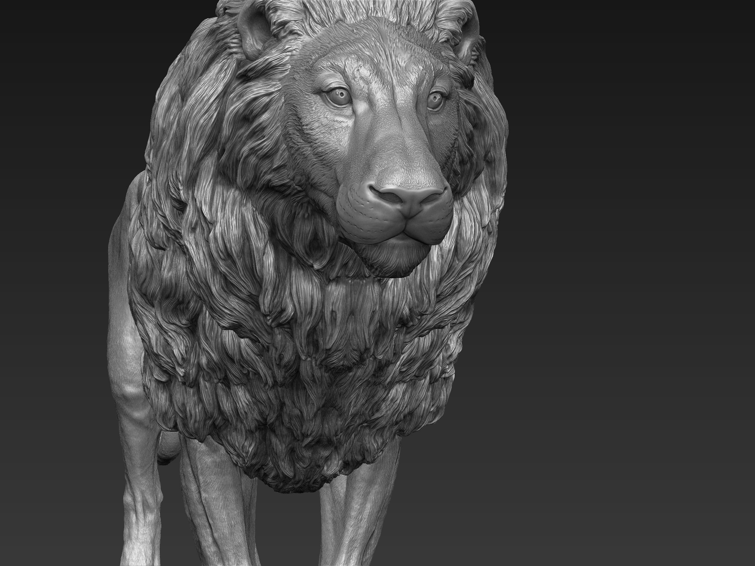 Lion realistic 3D - TurboSquid 1290876