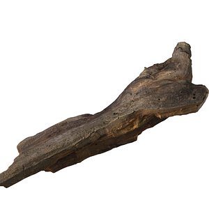 3d 3ds branch rotten tree wood