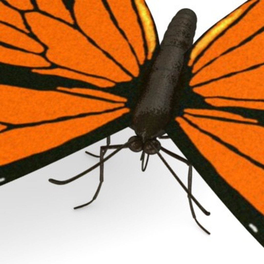 butterfly danaus plexippus 3d model