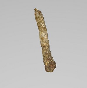 salami 3d model