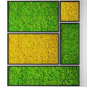 Stabilized moss