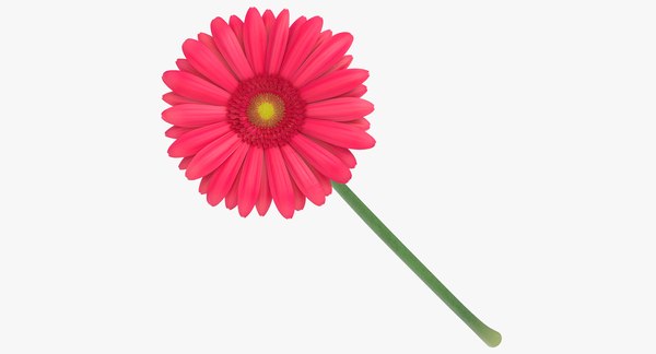 modelo 3d Gerbera - Rosa - TurboSquid 1346247