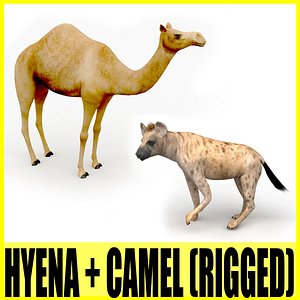 rigged hyena camel animation 3d model