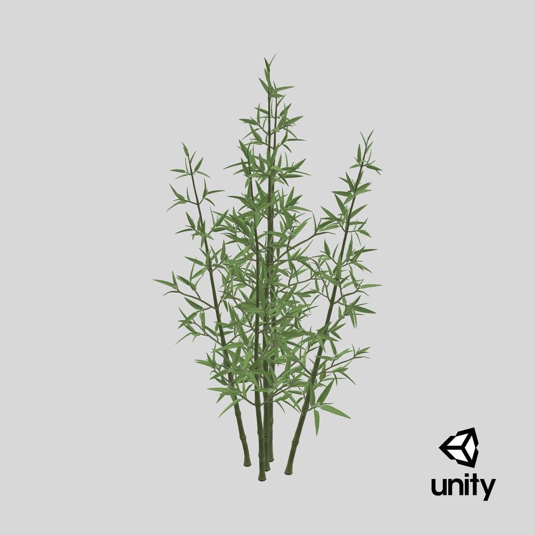 3D model Bamboo Bush https://p.turbosquid.com/ts-thumb/Xk/EDG741/Xt/stemcell_unity_render/png/1715886284/1920x1080/fit_q87/a5d995e2714bbc5423e44372d207a04a47fa8418/stemcell_unity_render.jpg