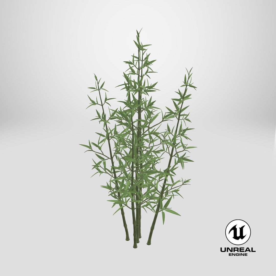 3D model Bamboo Bush https://p.turbosquid.com/ts-thumb/Xk/EDG741/qN/stemcell_unreal_render/png/1715886282/1920x1080/fit_q87/8f09e2313bc71e80cb9e8fc7edb0555689f5c857/stemcell_unreal_render.jpg