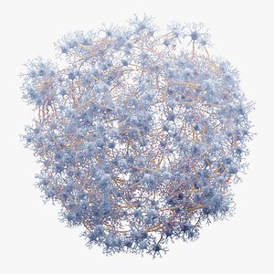 Neural Network 1