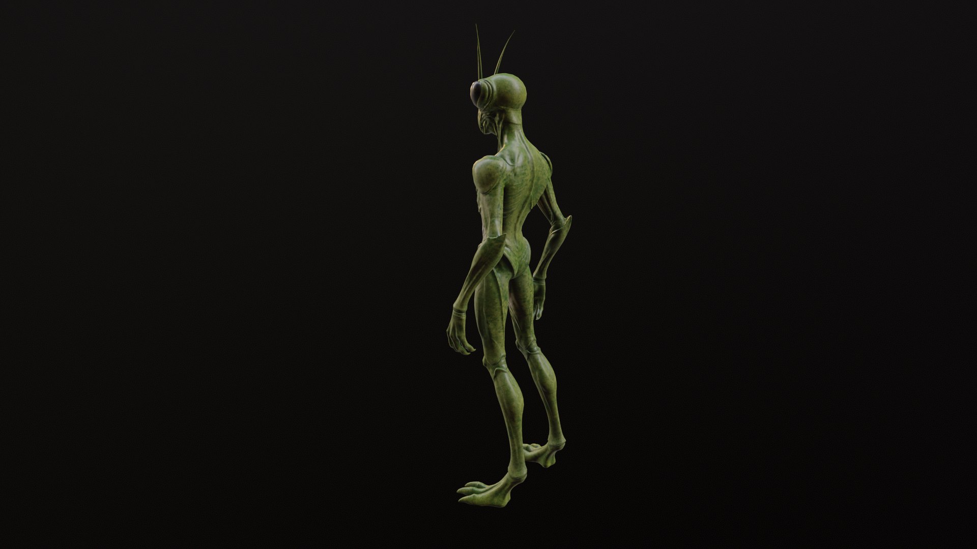Insectoid 3D model https://p.turbosquid.com/ts-thumb/Xk/MvFy1S/9f/tbrender_viewport_005/png/1774432993/1920x1080/fit_q87/3954205349c8bd94b323a822ecd5bc9923863d8b/tbrender_viewport_005.jpg