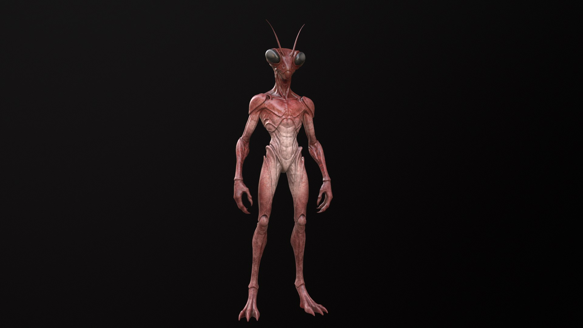 Insectoid 3D model https://p.turbosquid.com/ts-thumb/Xk/MvFy1S/Mt/wire00/png/1774435504/1920x1080/fit_q87/b78169758f73f47cb59be3b700e896f5c5b4159c/wire00.jpg