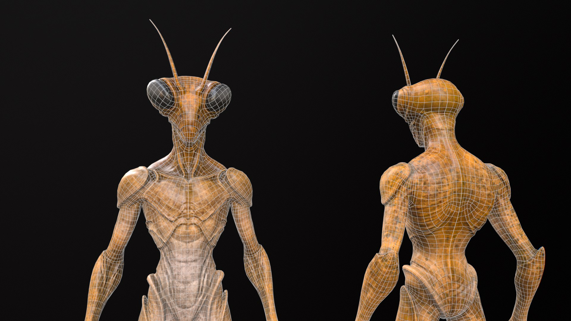 Insectoid 3D model https://p.turbosquid.com/ts-thumb/Xk/MvFy1S/Qx/wire03/png/1774435512/1920x1080/fit_q87/db29bdc8756614ea8f5ecc8726bde3463098e200/wire03.jpg