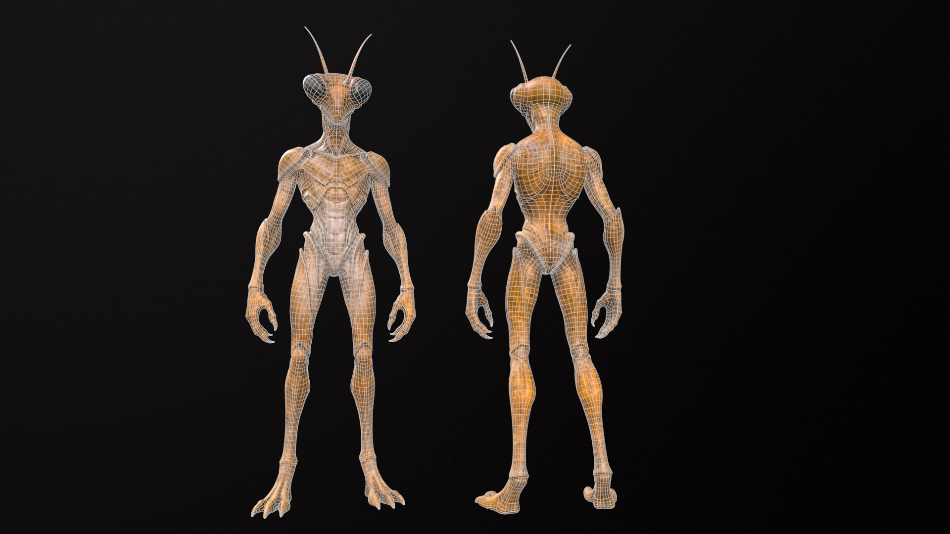 Insectoid 3D model https://p.turbosquid.com/ts-thumb/Xk/MvFy1S/nE/wire02/png/1774435507/1920x1080/fit_q87/4916b86f46c626d746ceb7e8c15836f1d100d780/wire02.jpg