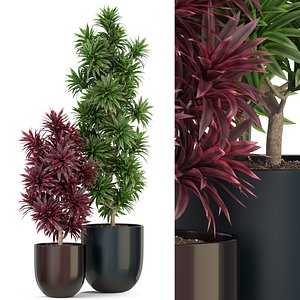 植物305三维模型