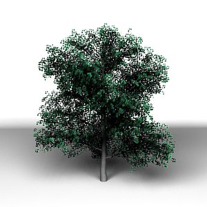 Klon_3_Modo