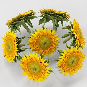 3D flower sunflower yellow