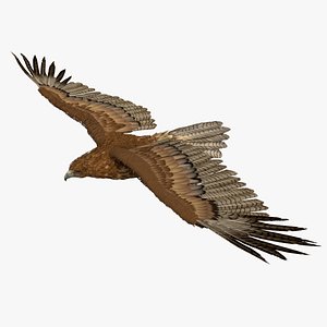 Realistic Flying Gurney Eagle