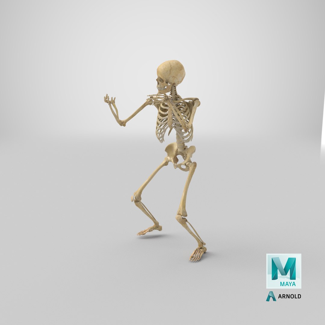 3D real human female skeleton model https://p.turbosquid.com/ts-thumb/Xk/aexMYA/6s/stemcell_maya_arnold_render/png/1625843166/1920x1080/fit_q87/aa770c536937b582ced9cb8e97cea242b7033119/stemcell_maya_arnold_render.jpg