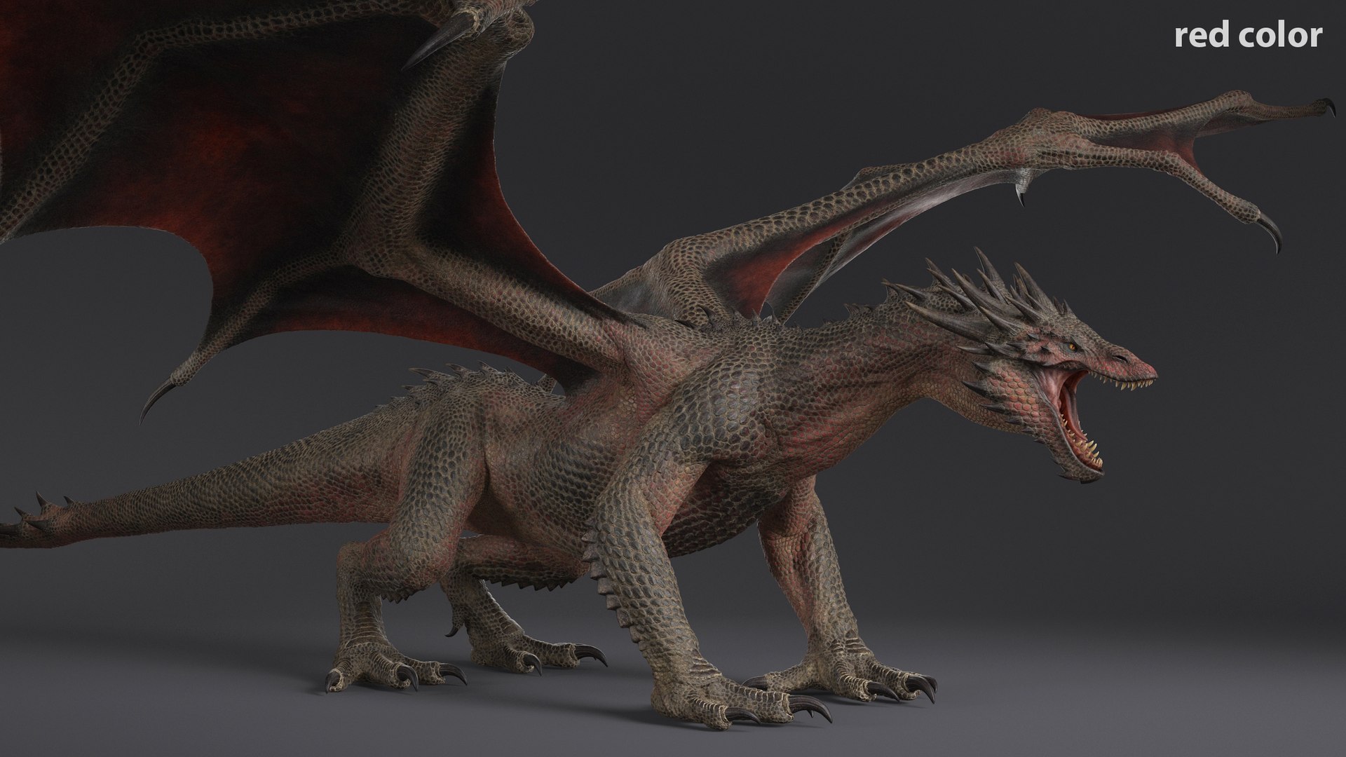 3D Dragon XO No Rig https://p.turbosquid.com/ts-thumb/Xk/ay1WSh/5a/dr_color_01/jpg/1656762117/1920x1080/fit_q87/28282f1137bf5ef9d5efa1fc4e7e2f14ebf58e84/dr_color_01.jpg