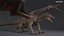 Dragon XO Nessun Rig