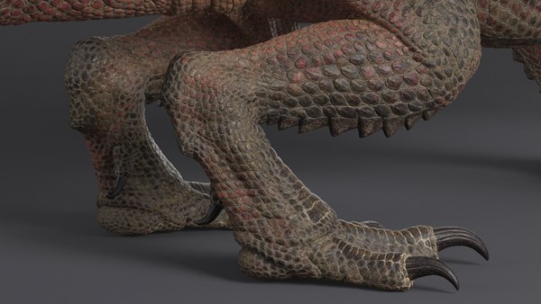 3D Dragon XO No Rig - TurboSquid 1895638