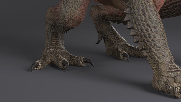 3D Dragon XO No Rig - TurboSquid 1895638