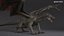 Dragon XO Nessun Rig