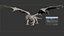 Dragon XO Nessun Rig