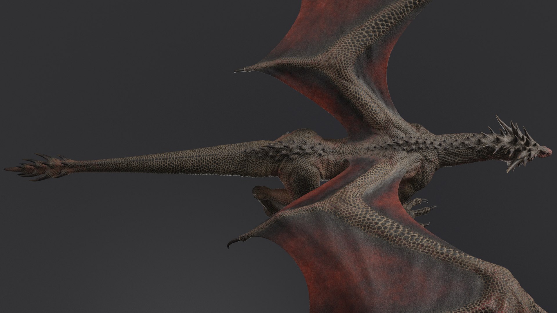 3D Dragon XO No Rig https://p.turbosquid.com/ts-thumb/Xk/ay1WSh/gS/nuo005/jpg/1652275982/1920x1080/fit_q87/c0f5a126ed1c7ff0d508d049b88865058905da4d/nuo005.jpg