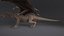Dragon XO Nessun Rig