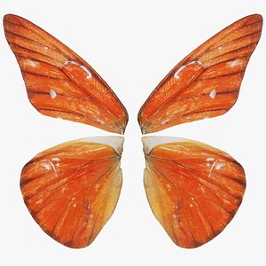 3D Orange Albatros Remastered model